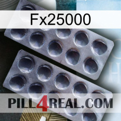 Fx25000 31